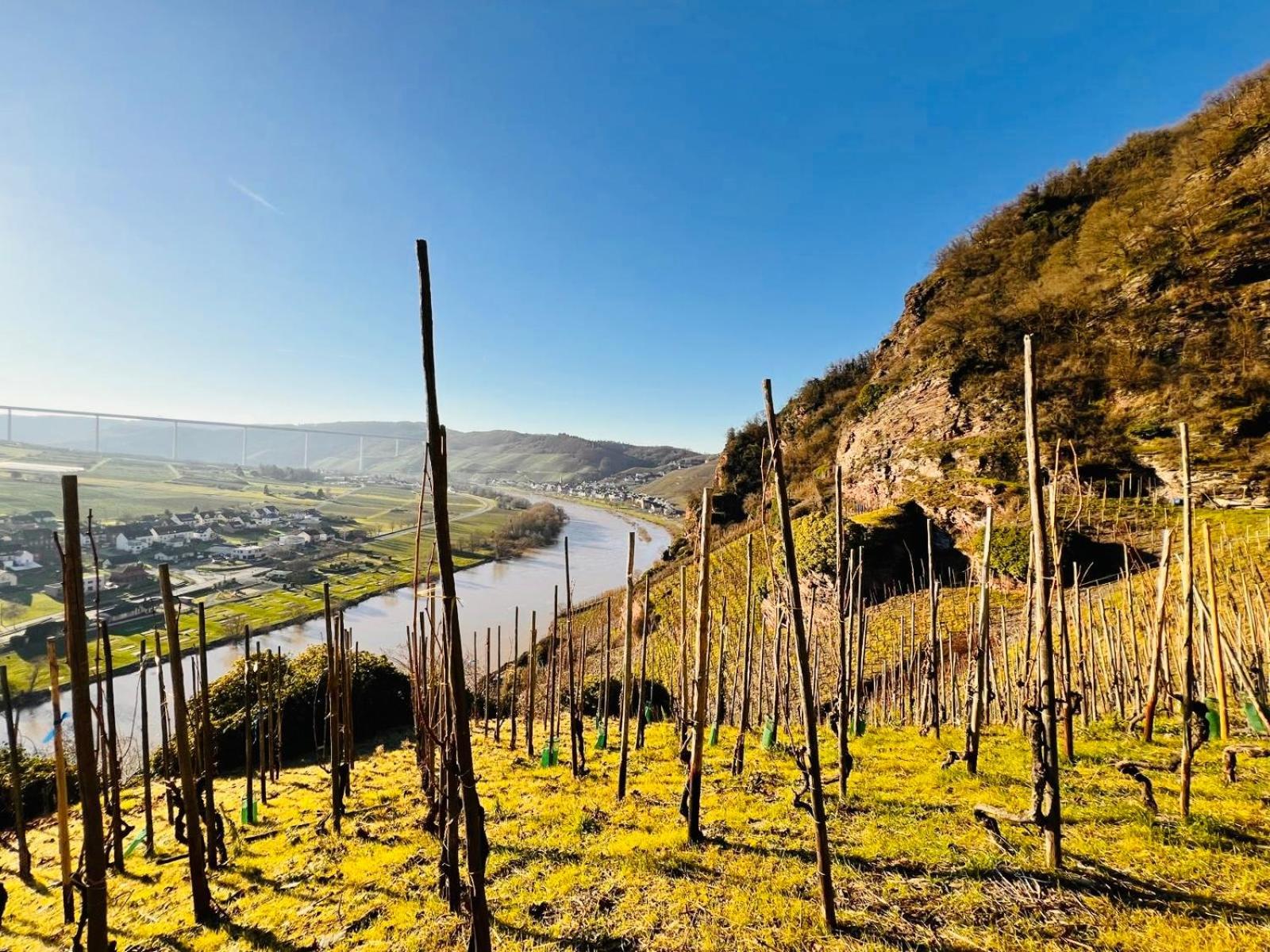 Gut Foersterlay - Exklusive Boutique Apartments Im Historischen Winzerhaus Direkt An Der Mosel Lösnich エクステリア 写真