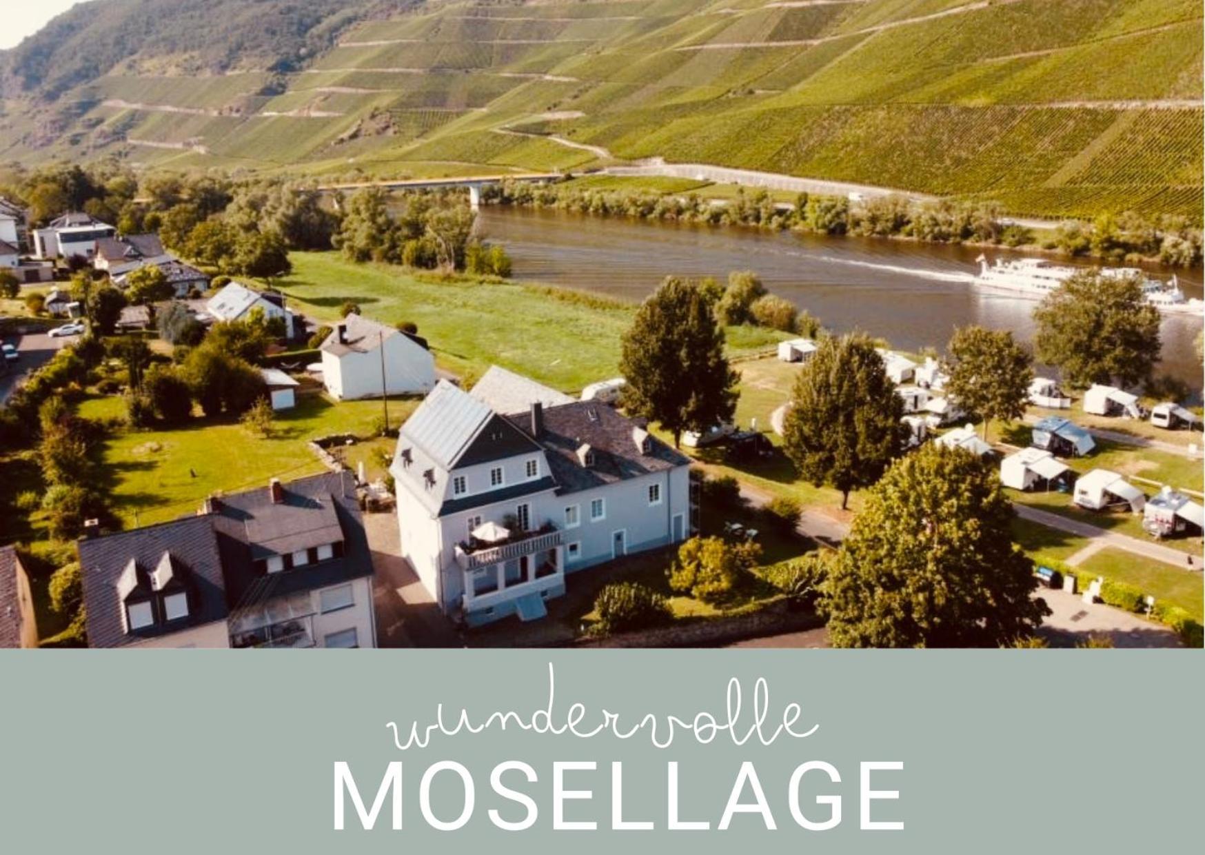 Gut Foersterlay - Exklusive Boutique Apartments Im Historischen Winzerhaus Direkt An Der Mosel Lösnich エクステリア 写真