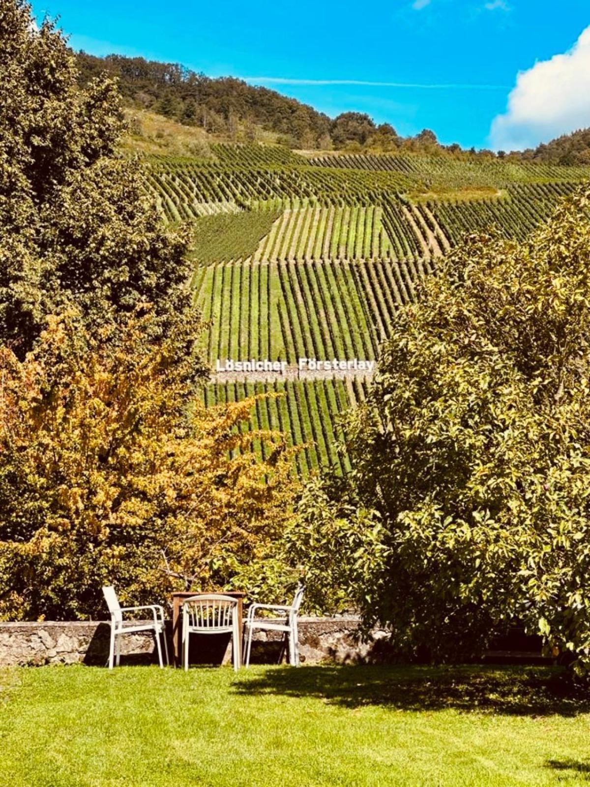 Gut Foersterlay - Exklusive Boutique Apartments Im Historischen Winzerhaus Direkt An Der Mosel Lösnich エクステリア 写真